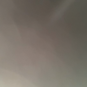 本音の画像