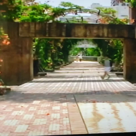 ☆昔撮った☆の画像