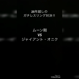 ☆ガチレスリング対決☆の画像