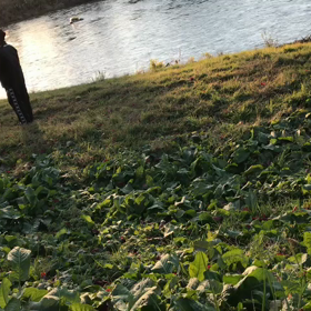 ☆久々連続☆の画像