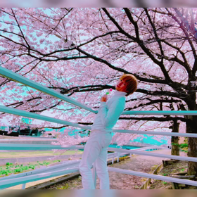 ☆1人花見☆の画像