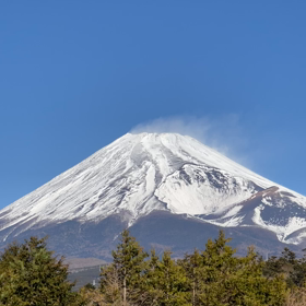 縁起物かなの画像