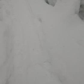 ふ今年はよく降りますの画像
