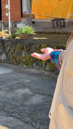 富士山と実家と切り絵と温泉の記事動画