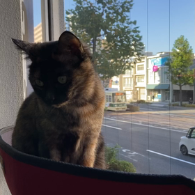 今日は鍋の日の画像