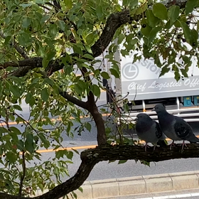 今日は身体検査の日の画像