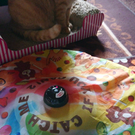 今日かなり冷えます。の画像