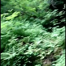 20190705小樽、穴滝、動画の画像