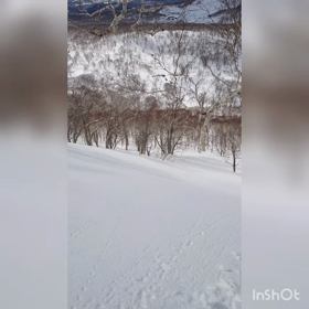 20210319五色チセ動画の画像