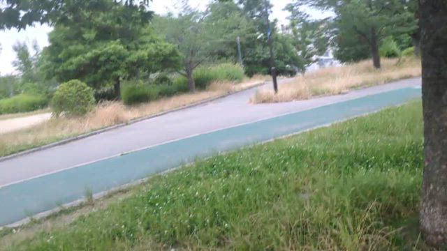 やればできる韓&中山の記事動画