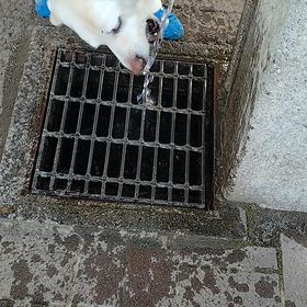 水の画像