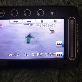 ゴールデンウィークキャンプのお知らせの画像