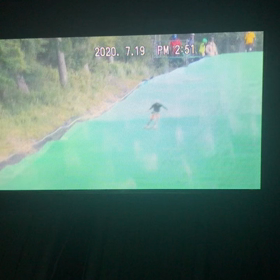 夏の成果②の画像