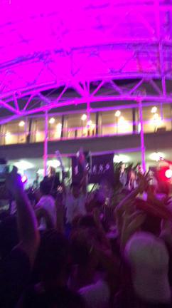 新潟花火の記事動画