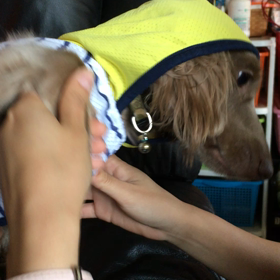 おもちゃの画像