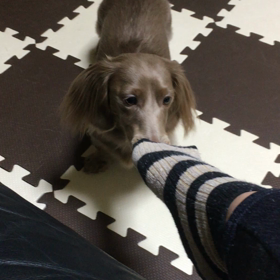 昨日の出来事の画像