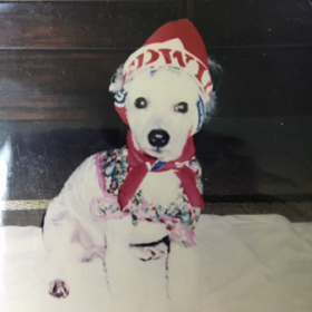 おばあちゃん泣いちゃったの画像