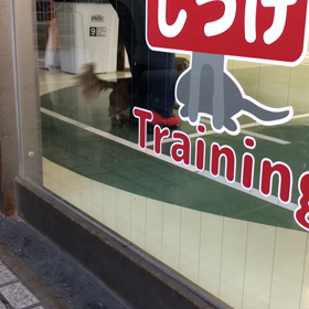 保育園って楽しいなの画像