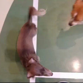 日本一！の画像