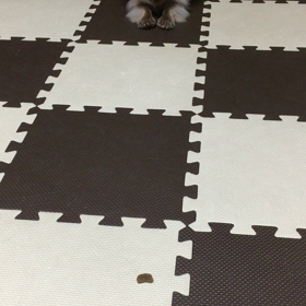 エディ式だるまさんがころんだの画像