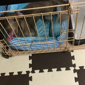 もう、大変！の画像