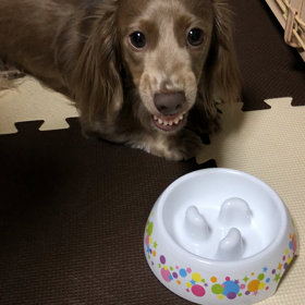 珍しく反抗的の画像