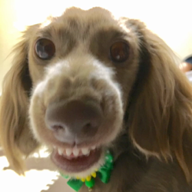 ついに、恐れていたことがの画像