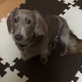 言葉に敏感の画像