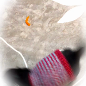 頑張りましたの画像