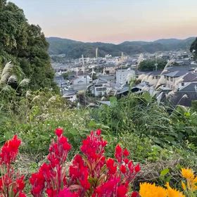 2025/11/06の画像