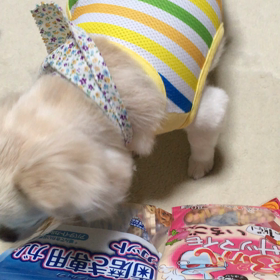 こっち！の画像
