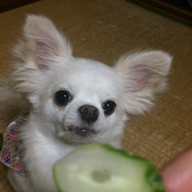 大好きな！の画像