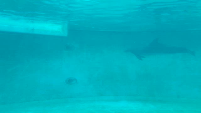 無意識のトランスバトル～人生を創造する脳波を活用～の記事動画