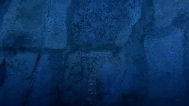 そうこうしてる間に赤煉瓦倉庫　南極大陸水槽工事完了した海遊館の記事動画