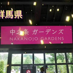 花旅❣️花を愛して❤️の画像