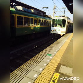 心華やぐ季節です(*≧∀≦*)の画像