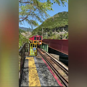 パワースポット巡りで念願のトロッコ列車に乗るの画像