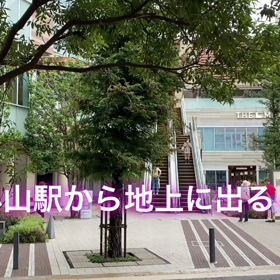 生き残れ武蔵小山商店街❣️の画像