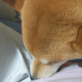 朝から…の画像