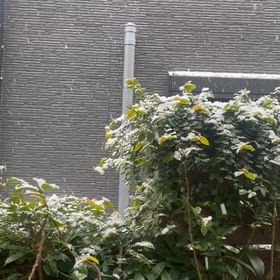 摂津市でも降雪。の画像