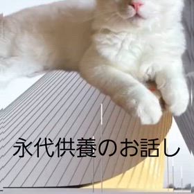 ”心霊スポット・お墓荒らしがもたらす、スピリチュアルな影響”の画像