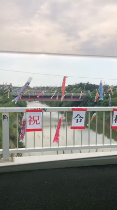 天願川のの記事動画