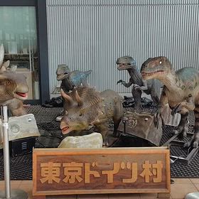 「千葉」にあるのに「東京ドイツ村」にの画像