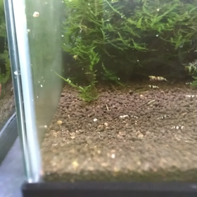 同じえさでも。の画像