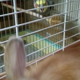 いや～❗！！！ーーーの画像