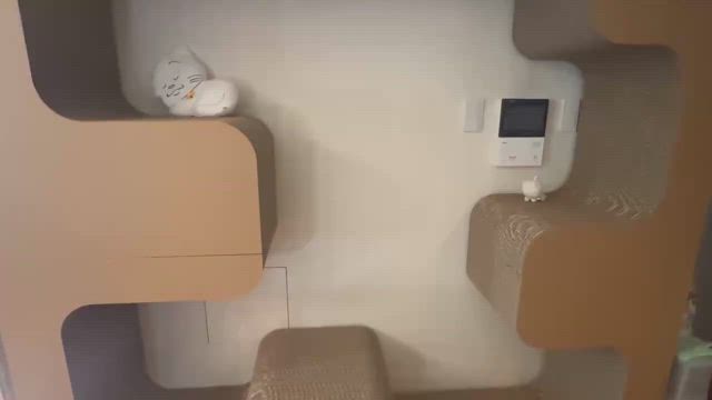 ペットラインさんのキャットタワー‼️の記事動画