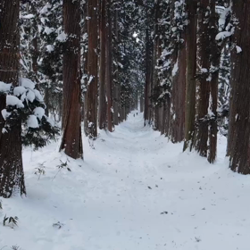 ★KAMNABIの画像