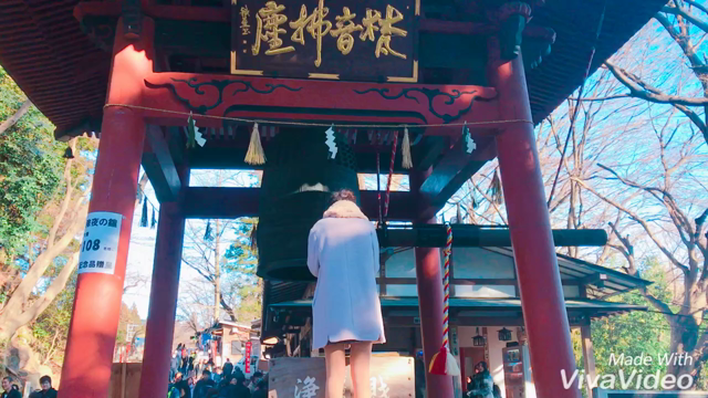 新年のご挨拶。の記事動画