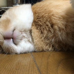 ムニャムニャ(♡︎´艸`)の画像