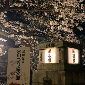 桜の花言葉の画像